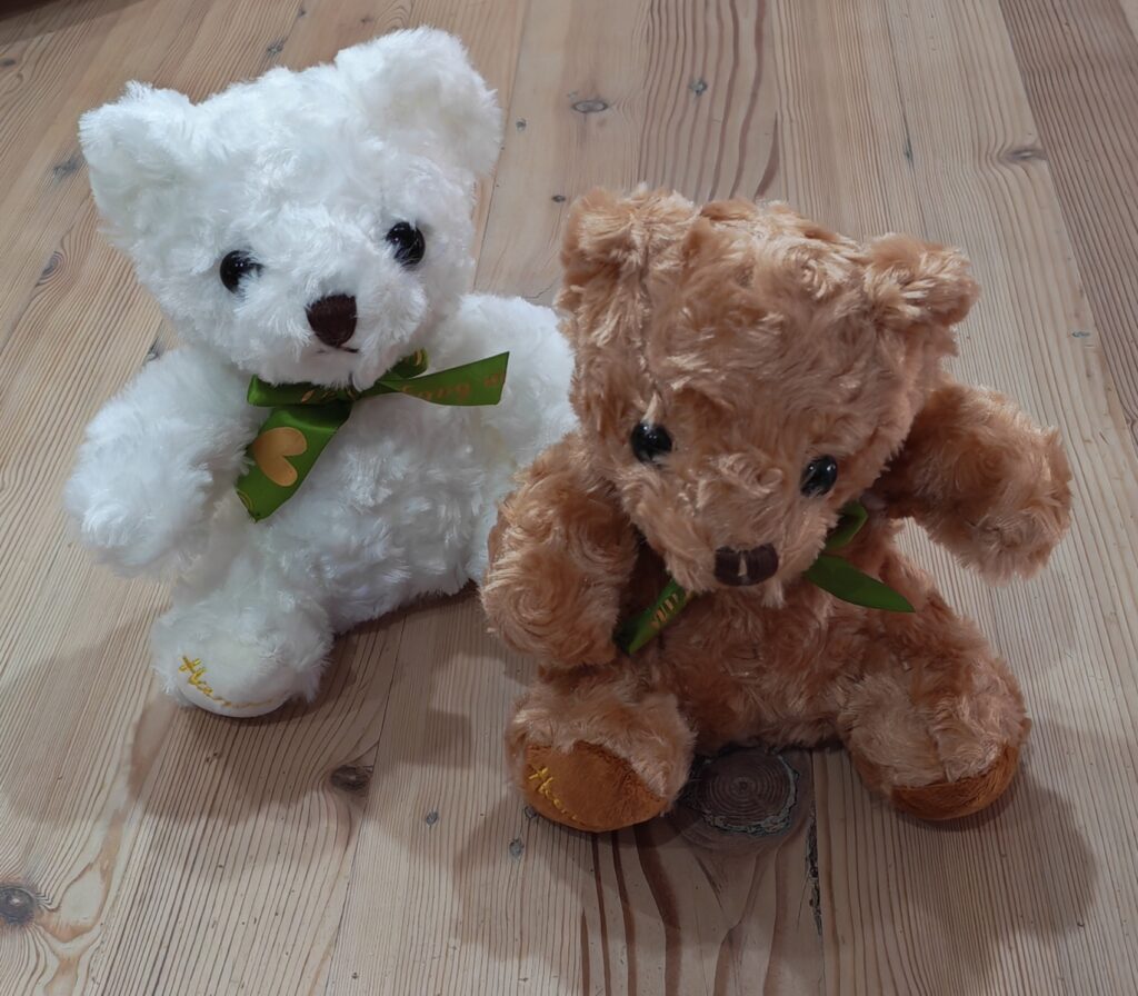 Brand New 2 Teddy's